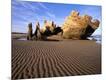 Photographic Print