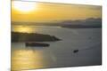 Premium Photographic Print