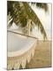 Premium Photographic Print