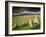 Merrivale Stone Row, Stormy Evening, Dartmoor Np, Devon, Uk. September 2008-Ross Hoddinott-Framed Photographic Print