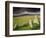 Merrivale Stone Row, Stormy Evening, Dartmoor Np, Devon, Uk. September 2008-Ross Hoddinott-Framed Photographic Print