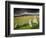 Merrivale Stone Row, Stormy Evening, Dartmoor Np, Devon, Uk. September 2008-Ross Hoddinott-Framed Photographic Print