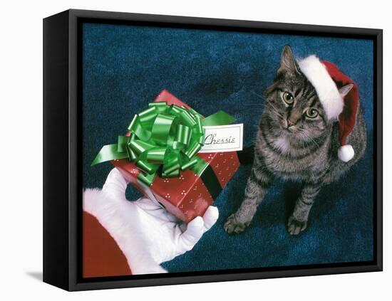 Merry Christmas Chessie-null-Framed Premier Image Canvas