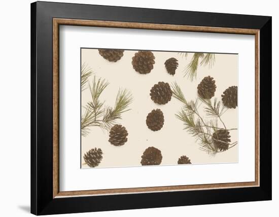 Merry Christmas My Dear-Florent Bodart-Framed Photographic Print