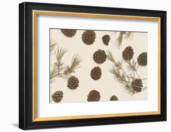 Merry Christmas My Dear-Florent Bodart-Framed Photographic Print