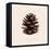 Merry Christmas Nº1-Florent Bodart-Framed Premier Image Canvas