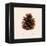 Merry Christmas Nº2-Florent Bodart-Framed Premier Image Canvas