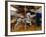 Merry-Go-Round, Paris, France-Gavin Hellier-Framed Photographic Print