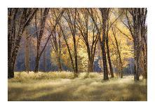 Farmers Pond-Mertz-Framed Giclee Print