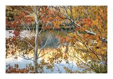 Farmers Pond-Mertz-Framed Giclee Print