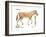 Merychippus, Extinct Ancestral Horse, Mammals-Encyclopaedia Britannica-Framed Art Print