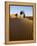 Merzouga, Erg Chebbi, Sahara Desert, Morocco-Gavin Hellier-Framed Premier Image Canvas