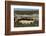 Mesa Verde National Park-Richard Maschmeyer-Framed Photographic Print