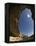 Mesa Verde, UNESCO World Heritage Site, Colorado, United States of America, North America-Snell Michael-Framed Premier Image Canvas