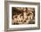 Mesa Verde-Tim Oldford-Framed Photographic Print