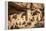 Mesa Verde-Tim Oldford-Framed Premier Image Canvas
