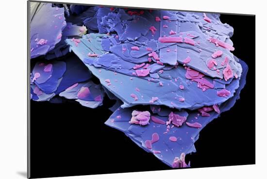 Mescaline Crystals, SEM-David McCarthy-Mounted Photographic Print