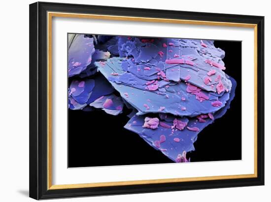 Mescaline Crystals, SEM-David McCarthy-Framed Photographic Print