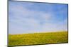 Meskel field in Simien Mountain, Ethiopia-Keren Su-Mounted Photographic Print