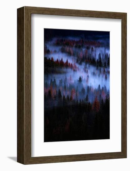 Mesmer Portrait Fog & Light Trees Sark Yosemite Winter Storm Valley-Vincent James-Framed Photographic Print