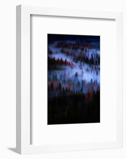 Mesmer Portrait Fog & Light Trees Sark Yosemite Winter Storm Valley-Vincent James-Framed Photographic Print