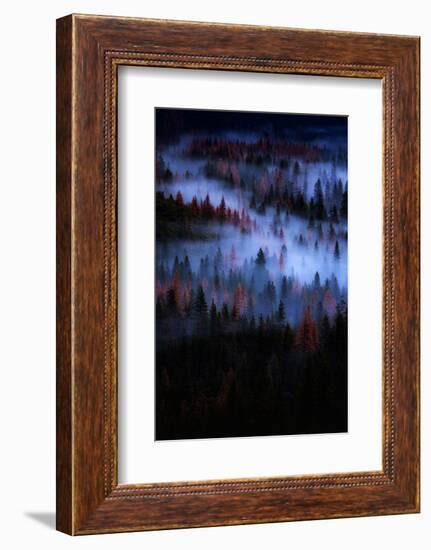 Mesmer Portrait Fog & Light Trees Sark Yosemite Winter Storm Valley-Vincent James-Framed Photographic Print