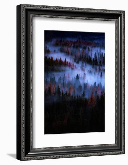 Mesmer Portrait Fog & Light Trees Sark Yosemite Winter Storm Valley-Vincent James-Framed Photographic Print