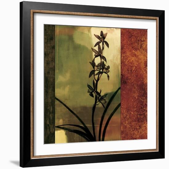 Mesmerized I-Chris Donovan-Framed Art Print