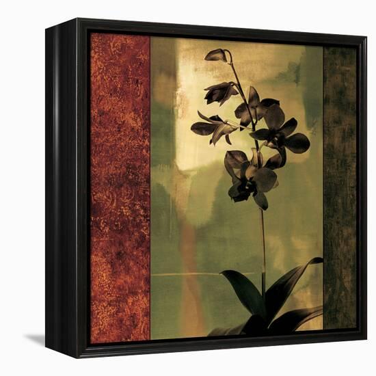 Mesmerized II-Chris Donovan-Framed Stretched Canvas