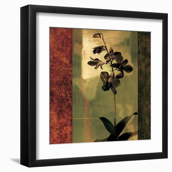 Mesmerized II-Chris Donovan-Framed Art Print