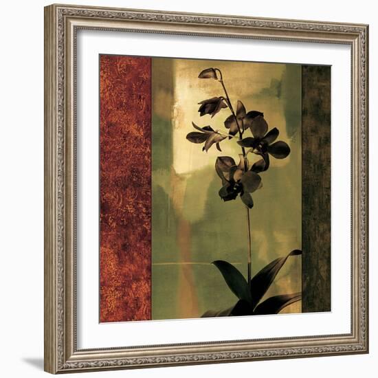 Mesmerized II-Chris Donovan-Framed Art Print