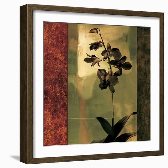 Mesmerized II-Chris Donovan-Framed Art Print