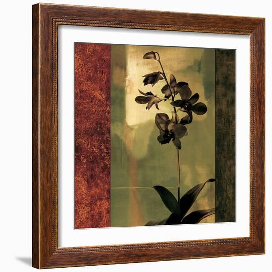 Mesmerized II-Chris Donovan-Framed Art Print