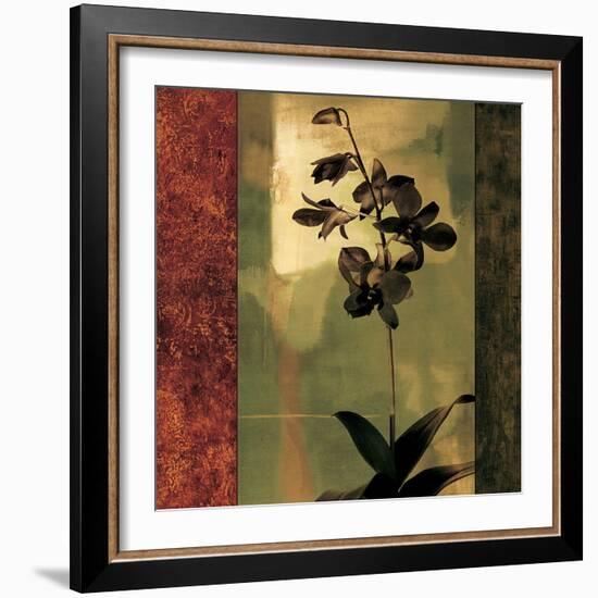 Mesmerized II-Chris Donovan-Framed Art Print