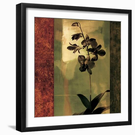 Mesmerized II-Chris Donovan-Framed Art Print