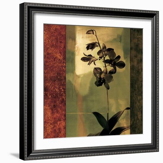 Mesmerized II-Chris Donovan-Framed Art Print