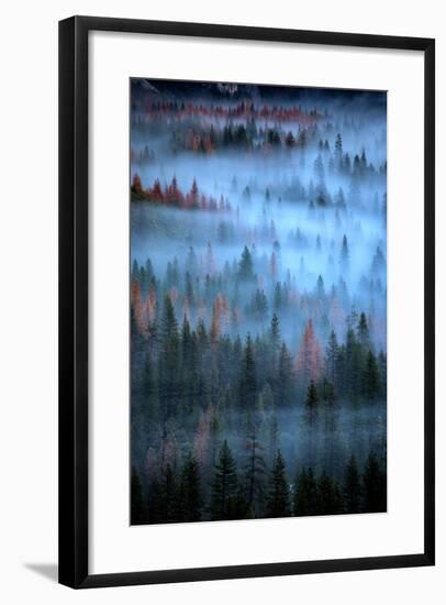Mesmerizing Fog and Trees, Yosemite Valley, National Parks, California-Vincent James-Framed Photographic Print