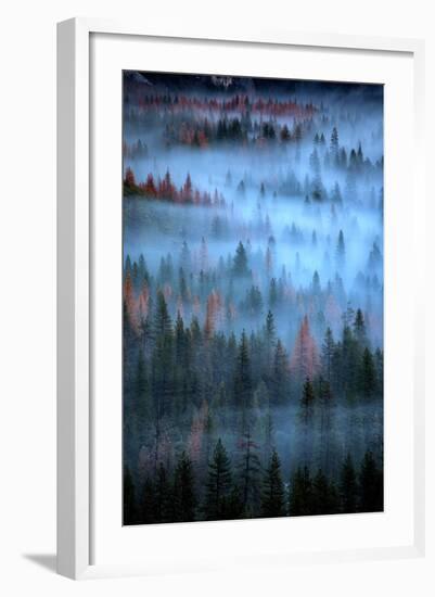 Mesmerizing Fog and Trees, Yosemite Valley, National Parks, California-Vincent James-Framed Photographic Print