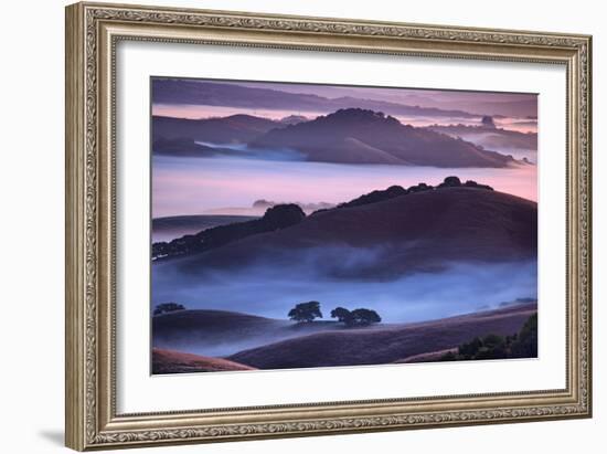 Mesmerizing Morning Hills and Fog, Petaluma California-Vincent James-Framed Photographic Print