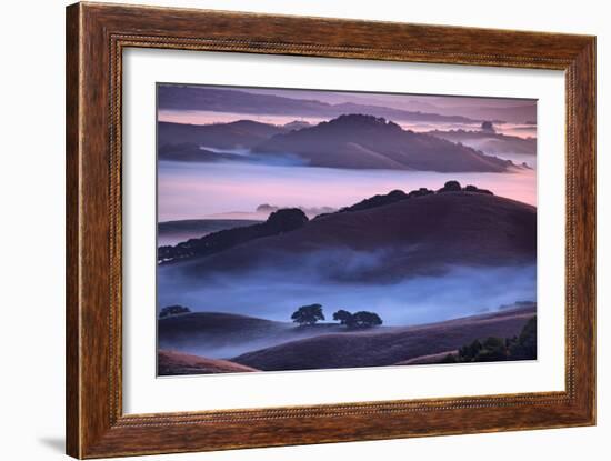 Mesmerizing Morning Hills and Fog, Petaluma California-Vincent James-Framed Photographic Print