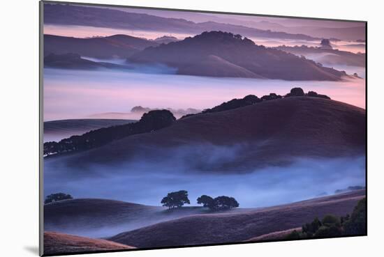 Mesmerizing Morning Hills and Fog, Petaluma California-Vincent James-Mounted Photographic Print