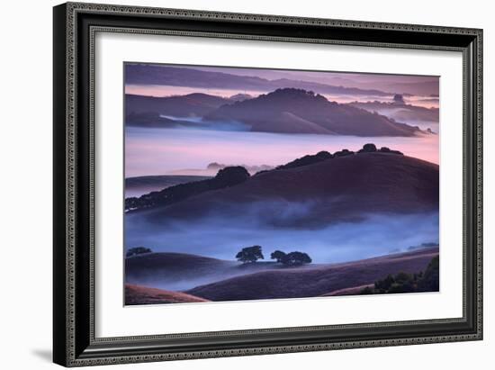 Mesmerizing Morning Hills and Fog, Petaluma California-Vincent James-Framed Photographic Print