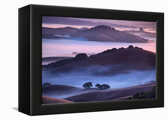 Mesmerizing Morning Hills and Fog, Petaluma California-Vincent James-Framed Premier Image Canvas