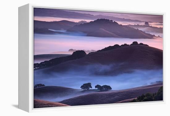 Mesmerizing Morning Hills and Fog, Petaluma California-Vincent James-Framed Premier Image Canvas