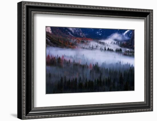 Mesmerizing Yosemite Valley, Streaming Fog and Trees-Vincent James-Framed Photographic Print