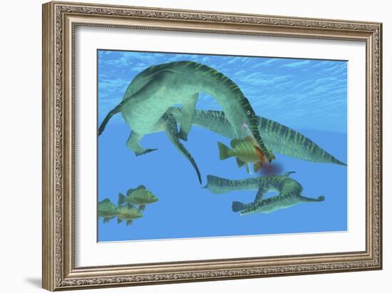 Mesosaurus Attacks a Mangrove Red Snapper Fish-Stocktrek Images-Framed Art Print