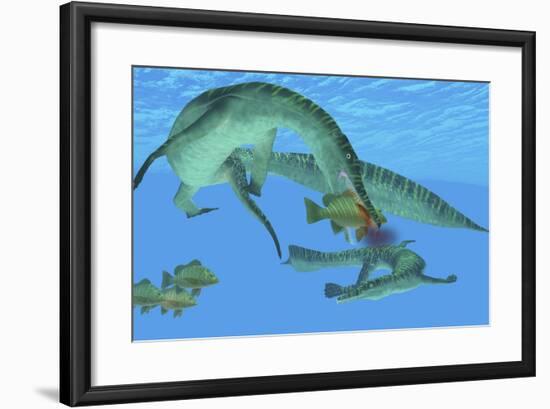 Mesosaurus Attacks a Mangrove Red Snapper Fish-Stocktrek Images-Framed Art Print