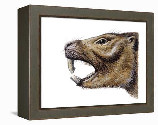 Mesotherium-null-Framed Premier Image Canvas