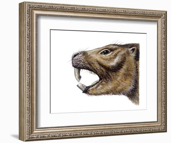 Mesotherium-null-Framed Photographic Print