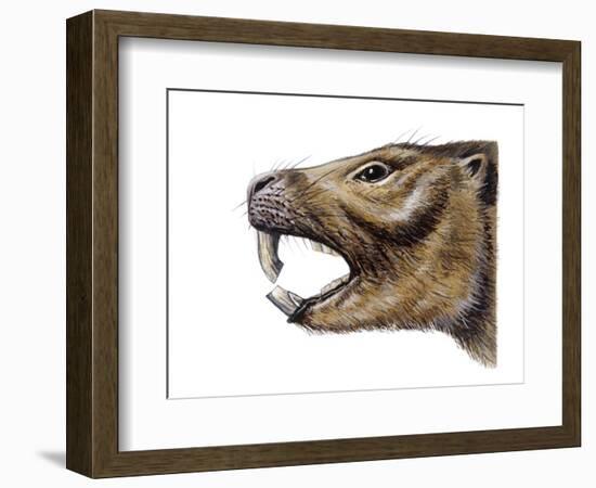 Mesotherium-null-Framed Photographic Print